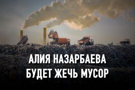 Прибыль в 360 млн долларов в год обеспечат мусоросжигающие заводы