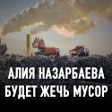 Прибыль в 360 млн долларов в год обеспечат мусоросжигающие заводы