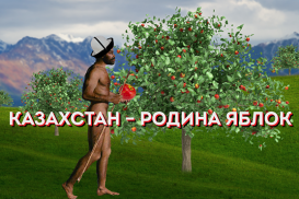 Вернёт ли Казахстан славу "родины яблок"?