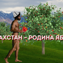 Вернёт ли Казахстан славу "родины яблок"?