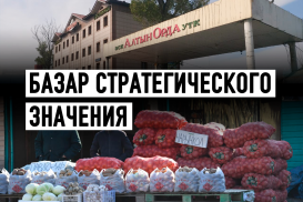 «Алтын Орда»: Болат Назарбаев как гарант социальной стабильности?