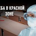 Школьники получили доступ к бесплатному дополнительному образованию