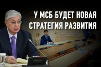 Кулибаев решил 100 проблем бизнеса