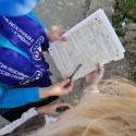 В Казахстане начался второй этап переписи населения