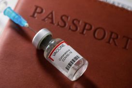 Паспорта вакцинации каких стран признал Казахстан?