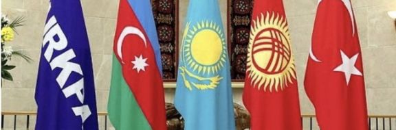 Украина рассчитывает войти в состав Тюркского Совета
