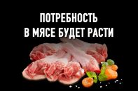 Куриный переполох: сколько будет стоить белое мясо?