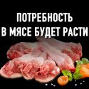 Куриный переполох: сколько будет стоить белое мясо?