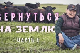 Вернуться на землю. Часть 1