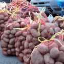 В Казахстане введут запрет на экспорт картофеля