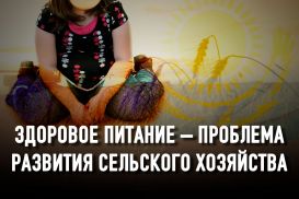 Почему в Казахстане растет число детей с лишним весом и ожирением?