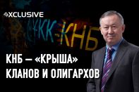 Альнур Мусаев: «Токаев зря боялся: разрушить Акорду фактически невозможно»