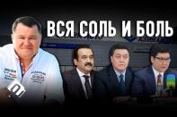 Анатолий Балушкин просит президента наказать МАСИМОВых, МАМИНых, ЕРГОЖИНых