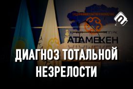 Как НПП «Атамекен» искал смысл своего существования, но так его и не нашёл