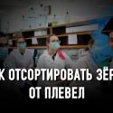 Всем публиковаться в Scopus!