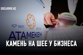 Предприниматели Казахстана требуют радикальных перемен в НПП «Атамекен»