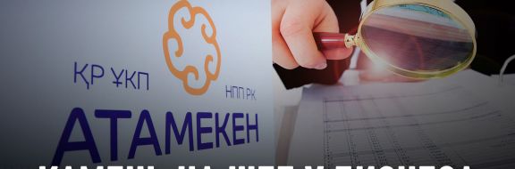 Предприниматели Казахстана требуют радикальных перемен в НПП «Атамекен»