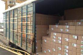 Правительством решен вопрос перевалки грузов из Китая в Казахстан - Оперштаб