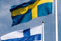 Швеция и Финляндия могут вступить в НАТО этим летом