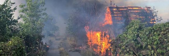 В Павлодаре горят дачные участки