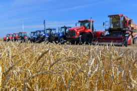 Минсельхоз вводит ограничение на экспорт зерна и муки