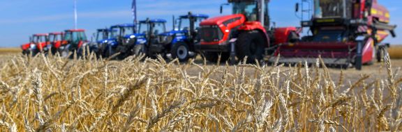 Минсельхоз вводит ограничение на экспорт зерна и муки