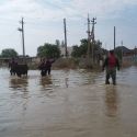 В Туркестанской области сильный дождь затопил дома, убил животных
