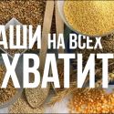 Каши на всех хватит