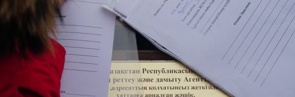 EGOV порталында шетелдіктерге ЖСН беру тоқтатылды