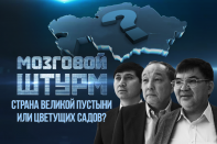 Мозговой Штурм: Земельный вопрос. Страна великой пустыни или цветущих садов? (видео)