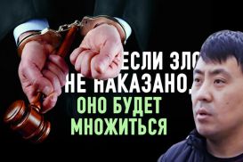 Адвокат против системы