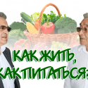 Как жить, как питаться?