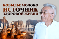 Кобылье молоко источник здоровой жизни (видео)