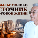 Кобылье молоко источник здоровой жизни (видео)