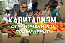 Капитализм ограниченного применения