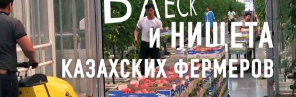Блеск и нищета казахских фермеров (видео)