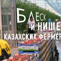 Блеск и нищета казахских фермеров (видео)