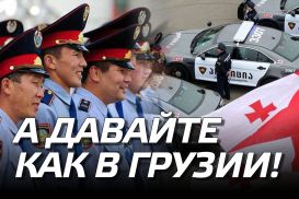 Полицейская реформа: а давайте как в Грузии!