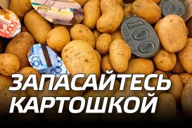 Запасайтесь картошкой