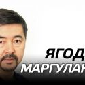 Маргулан Сейсембаев: Самые вкусные ягоды растут около логова волков (видео)