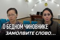 О бедном чиновнике замолвите слово… (видео)