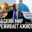 Отчего Казахстан озаботился статусом Иерусалима?