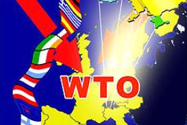 США недовольны позицией Украины по ВТО