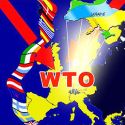 США недовольны позицией Украины по ВТО